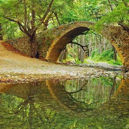 Grand Zeus فيلة Anoyira