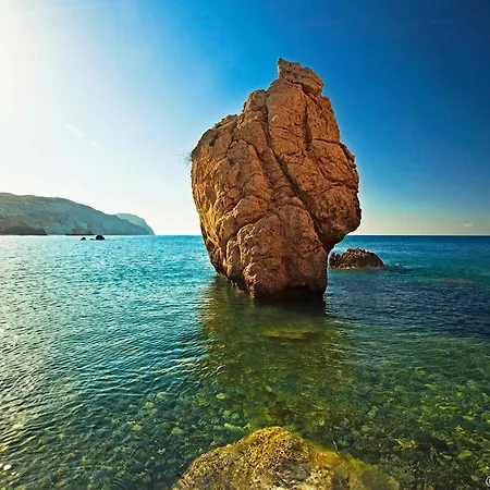 Grand Zeus * Anoyira