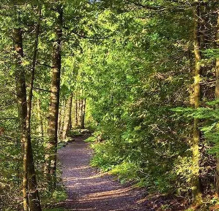 فيلة Grand Zeus *