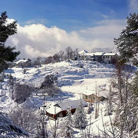 فيلة Grand Zeus *