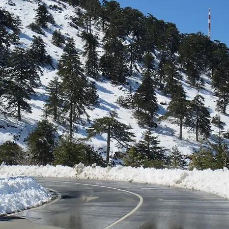 Grand Zeus فيلة Anoyira