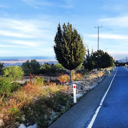 Grand Zeus * Anoyira