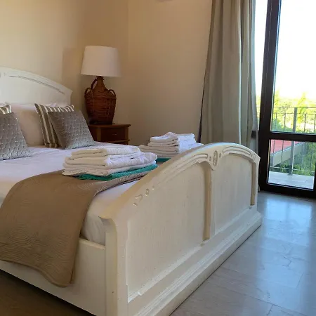 Grand Zeus * Anoyira