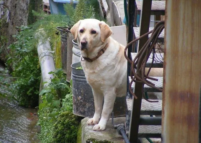 Grand Zeus * Ανώγυρα