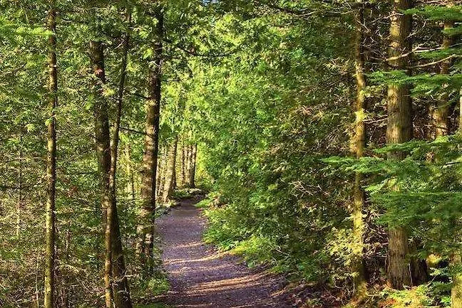 Βίλα Grand Zeus *