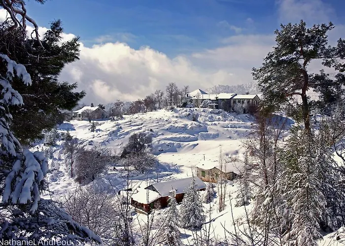 Βίλα Grand Zeus *